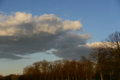 DSC_7146 (Large).JPG